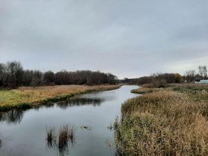 7 reka vedma v liahovichah