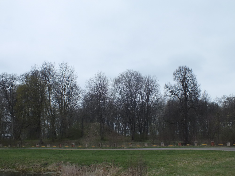 Общий вид парка со стороны деревни Крошин