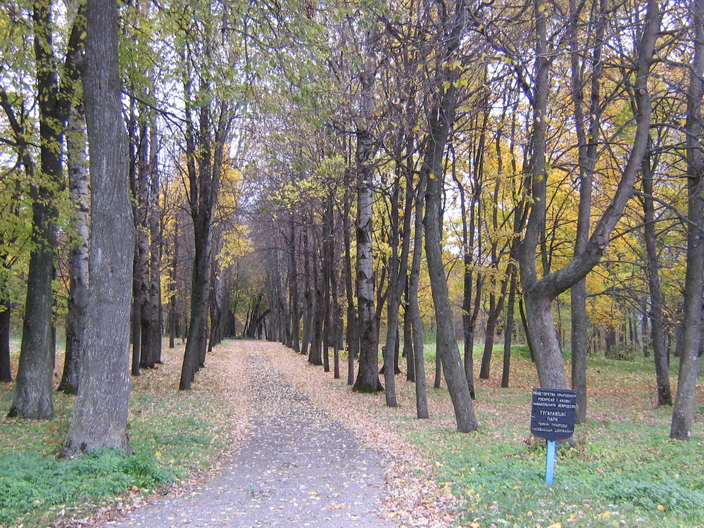 Тугановичский парк – памятник природы местного значения