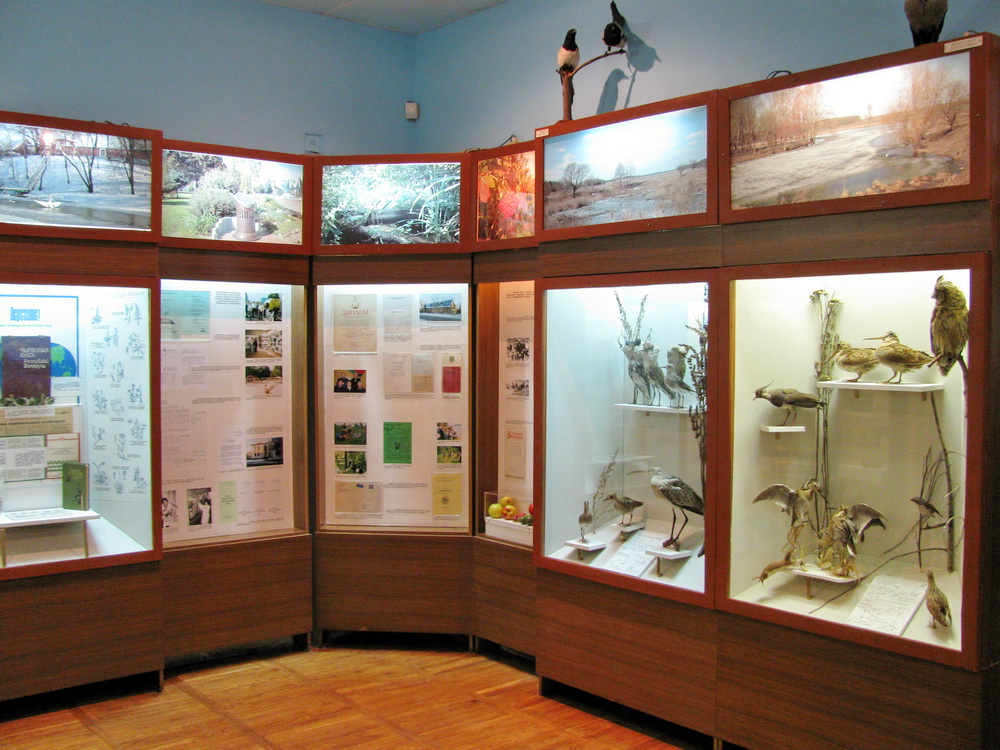 Первый зал знакомит посетителей музея с разнообразием ландшафтов Барановичского района, его флорой и фауной