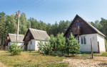 Веселый кролик