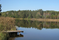 basini3.jpg