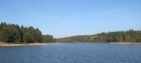 basini4.jpg