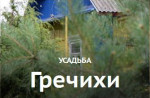 Гречихи
